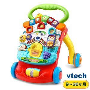 y Vtech z ANeBuEH[J[ CebN 艟 s J^J^ mߋ  艟  Ԃ  xr[ 9` 3 sK p 킢  j̎q ̎q 