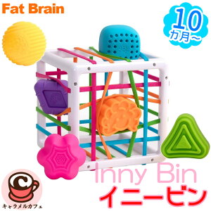 yFat Brain Toyszt@bguC Cj[r wm S{bNX FA251-1 [jO\[VYInny Bin Ԃ  10 ubN Zbg mߋ Jt 킢  a