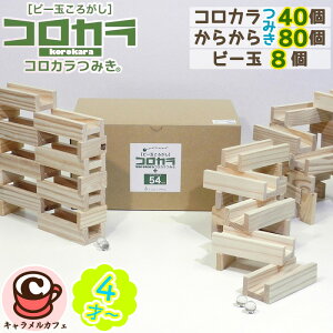 y炩݂zRJ݂ Zbg 40P 炩݂ 54 80 r[ 8 5480Ղ e  Ɩp ۈ{ {i ςݖ qǂ z W vl ԔF 4 c 