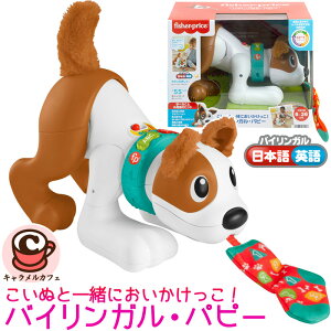 yfisher-priceztBbV[vCX ʂƈꏏɂIoCKEps[ HGY01{ p F   3iK Vׂ 킢 j̎q ̎q ʂ mߋ 6 