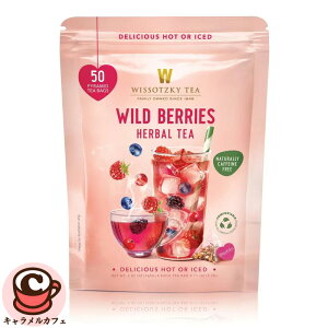 yWISSOTZKYzChx[ n[oeB[ 50obO 17319eB[obO s~bh^ JtFCt[ n[ueB[ mJtFC zbg ACX t[ceB[ 킢  Mt