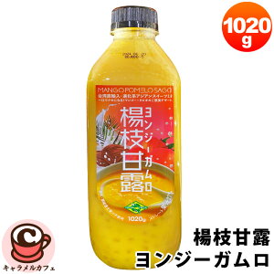 N[ցytb^tb^zk}ØI W[K 49269Z}S[ RRibc~N O[vt[c ^sIJ  XC[c p A AWA XC[c p[eB[ qǂ q