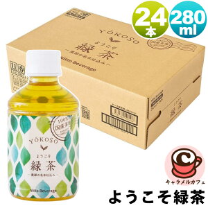 悤Β 280ml x 24{ 75890Y t xR   kAvX mJtFC ybg{g ^{g P[X  ܂Ƃߔ e  Ɩp ƒp ~ Ў ЊQ f 