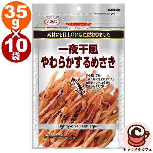 y}GXzv`i 銱 炩 ߂ 35g x 10 64755̓  \tg   l p[eB[ e  Ɩp   َq ܂ l VF