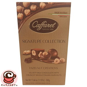 yCAFFARELzVOl`[RNV w[[ibc 500g 53892`R[g WhD[ C^A ZN[~[  NX}X p[eB[ v[g Mtg 蕨 RXgR H