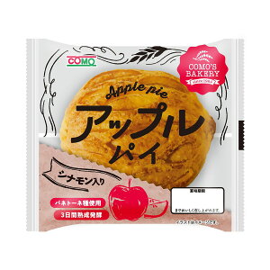 OCtp AbvpC  ۑ H  o^[TNTNpCn Î_ςS ֗g[X^[ 2Zbg Como