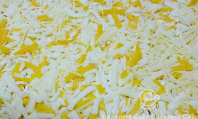 �ڥ����ȥ�Costco�۴ݷ��ԥ�5��������SQUAREPIZZA5-CHEESE