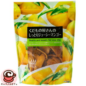 yf^C^[iViz̉̂ƂW[V[}S[ 480g 575070hC}S[ Ƃ W[V[ VA [Og hCt[c ֗ e  Ɩp 