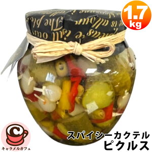 yAcetunas TorremarzXpCV[JNe sNX 1.7 kg 8565682픲 O[I[u イ ʂ˂ ԃs[} XpCV[ybp[ XyCY  sU gbsO zbghbO no