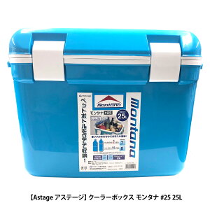 [ yAstagez AXe[W N[[{bNX ^i #25 25L Mtg