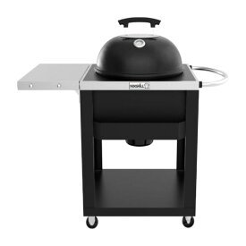 楽天市場 バーベキューコンロ コストコの通販