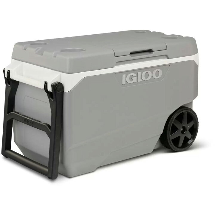 楽天市場】2025最新【IGLOO】イグルー マックスコールド 大型 クーラー 