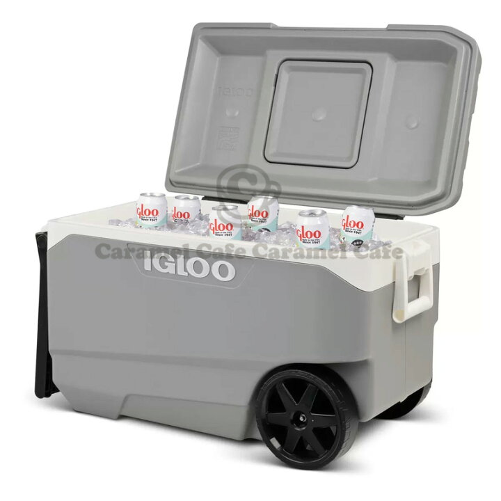楽天市場】2025最新【IGLOO】イグルー マックスコールド 大型 クーラー 