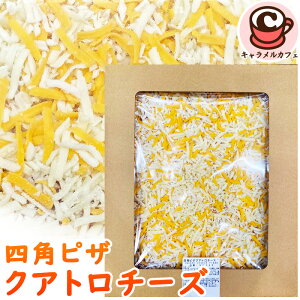 N[ցyKIRKLANDzlpsU 4̃`[Y NAg`[Y 90149sU C NXs[ bc@ `F_[ `[Y 傫  l e  Ɩp ƒp Mtg NX}X 