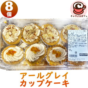 2025 N[ցyKIRKLANDzA[OC JbvP[L Ⓚ J[Nh 93044H  2 p[eB[ P[L e  VFA  킢  g t N[  