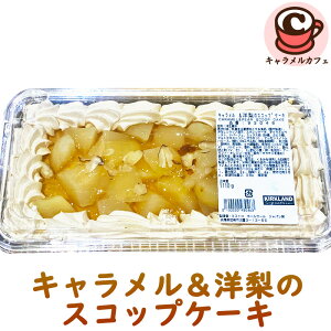 2025 N[ցyKIRKLANDzLm̃XRbvP[L Ⓚ J[Nh 93046 H  p[eB[ [X P[L e  傫 1lg VFA   َq ÂT 