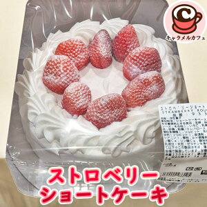 2025V쁚ⓀyKIRKLANDzXgx[ V[gP[L 6 93310NX}X ~G    C`S  N[ Eh P[L  e 傫  900g 1kg a p[eB[ 