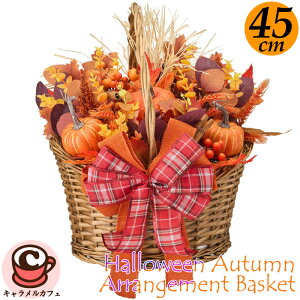 [I2025ŐVnEB I[^ AWg oXPbg 73728nEB[ H  { CpNg y y ڂ pvL    IW uE  