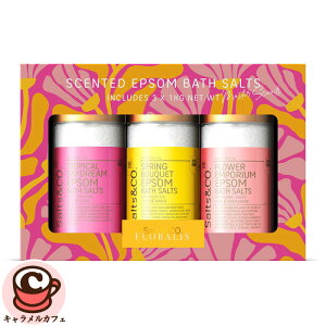 ySalts & Co.zGv\ oX\g 3ނ̍ 1kgx3 73295Ղg e ԕ Mtg{bNX vA Ao[ XN T_Ebh bNX  Mtg v[g L