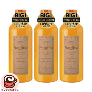 yPropolinsezv|X ꂪ }EXEHbV 1L x 3{Zbg 73480 c  L \h y C  locL  e ܂Ƃߔ \ G`Pbg I[P