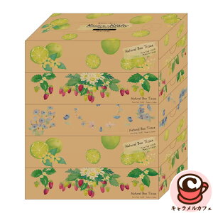 yGAzeBbV Kazaru x Krafty i` 5 x 12pbN 74089ӂ ₳   ӂ _炩 eBV[ I sApv uܕsgp eBbV e 