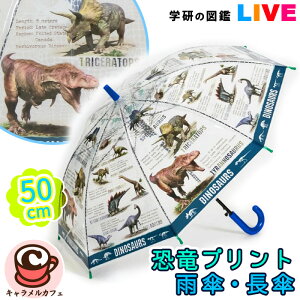 [ 2025Vyw̐} LIVE zqp rj[ JP P GKK-206B rj[P ^b` WvP 50cm c ۈ牀 ct w jq j̎q q J  lC eB