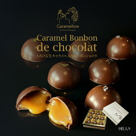 新発売！ とろける生キャラメル入りボンボンショコラ キャラメル専門店 生キャラメル チョコ チョコレート バレンタイン スイーツ ギフト お土産 贈り物 誕生日 クリスマス お祝い