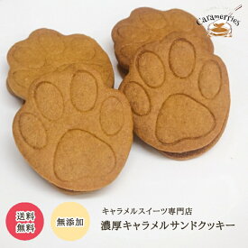 【10月~3月頃 期間限定販売】キャラメルサンドクッキー 4袋 お試し 個装 生キャラメル 焼き菓子 クッキー