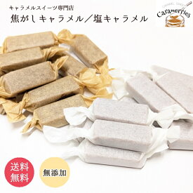 【10月~3月頃 期間限定販売】 お試しキャラメル 10個入 無添加 濃厚 焦がしキャラメル 塩キャラメル 常温保存 キャラメルスイーツ専門店