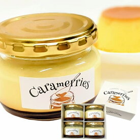 昔ながらのプリン 4個入 無添加 要冷蔵 キャラメル スイーツ 専門店 ギフト ボックス