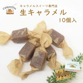 濃厚 生キャラメル BOX 10個入 要冷蔵 厳選材料 無添加 ギフトボックス