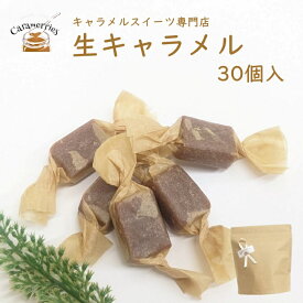 濃厚 生キャラメル 30個入 要冷蔵 厳選材料 無添加 ジッパー付き袋入り