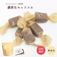 【スーパーSALE対象商品】濃厚 生キャラメル 塩 生キャラメル 要冷蔵 厳選材料 無添加 BOX ジッパー付き…