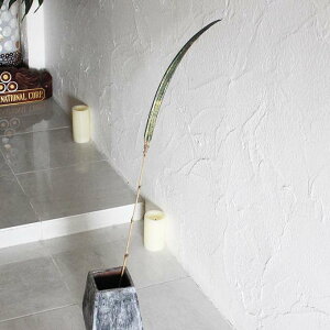 [t O[ A[gvc CeAt[ fBXvC   o AWA CeA IuWF