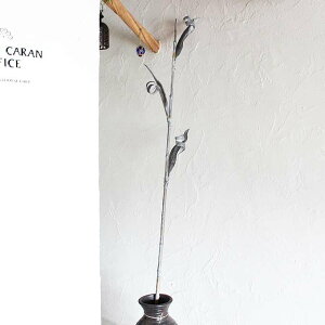 [t zCg A[gvc CeAt[ fBXvC   o AWA CeA IuWF