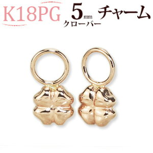 K18PGsNS[h@N[o[`[(18 18k)(ʐ^t[vsAX͕ʔ)(05205*7)