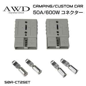 Jv[ obe[ Tuobe[ LsOJ[ Ԓe[N d 50A/600W RlN^[Jv 2Zbg 50A-CT2SET [(lR|X)