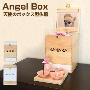 ~S Angel box Vg̃{bNX^d 2J[ AB-521 | ybgd ybg d   v[g ⍜ [ A{bNX ʐ^ ybgp {bNX^ { i