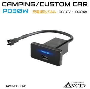 USB|[g    ^Cv PD 30W DC12V-24V AWD-PD30W | pl DIY [d } ԍ ԍڏ[d `[W[ ^CvC TypeC |[g ANZT[  CeA p[c t X}z [d U