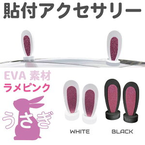   J[fR[V J[ANZT[ ETM 2Zbg S2J[ EVA CZ-CD12 | XebJ[ fJ[ V[ fR  킢  lR gbN y ~jo 