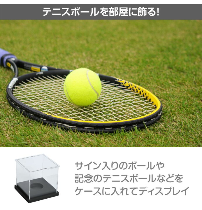楽天市場】サインボールケース サインボール ケース テニス 