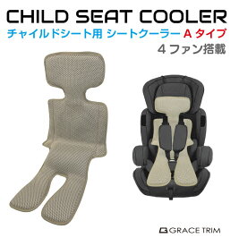 ٥ӡ 㥤ɥ 顼 A