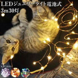 ハロウィン 飾り ライト LED イルミネーション 電飾 ジュエリーライト 3m 30灯 電池式 全3色 FW-LED3M led クリスマスツリー 飾り付け インテリア メール便(ネコポス)送料無料