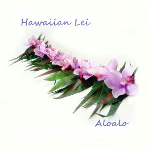 K[h   nCrXJX  EFfBO CeA AEghA a o[Xf[   p[eB fR[V A^CvnCAI[vC nCrXJX YH-