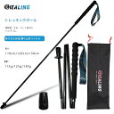 OKHEALING トレッキングポール 超軽量 カーボン 125g 登山ストック 折りたたみ式 携帯便利 収納袋付き 2本セット 登山…