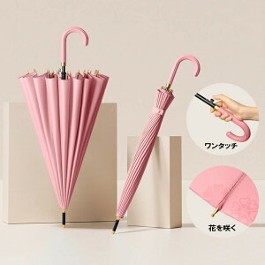 P WvP 24{ 15FWJ J?p ɓĉԂ炭P ԕ a fB[X ^b`  傫  ~J΍ ϕ 킢  v[g Mtg