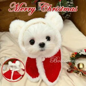 ybgpi NX}X    ̕ ybgpnbg hbOEFA LbgEFA }g t[h NX}Xߑ lR L  Ck ^ ybgp nbg T^X ||t 