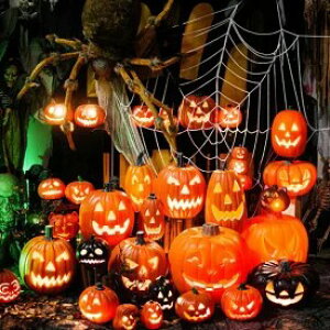 nEB  ڂ  p[eB[ u t  J{` fR[V halloween led Cg ڂჂ`[t  nEBObY pvL S[Xg ΂ y 