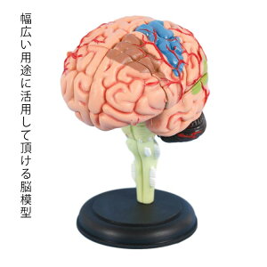 ÊwKp l̖͌^ ŌwZ w  ]f  ]͌^ t w U ]͌^ wwZ O\ K ׋ f@  _ow  ] dg g \ W