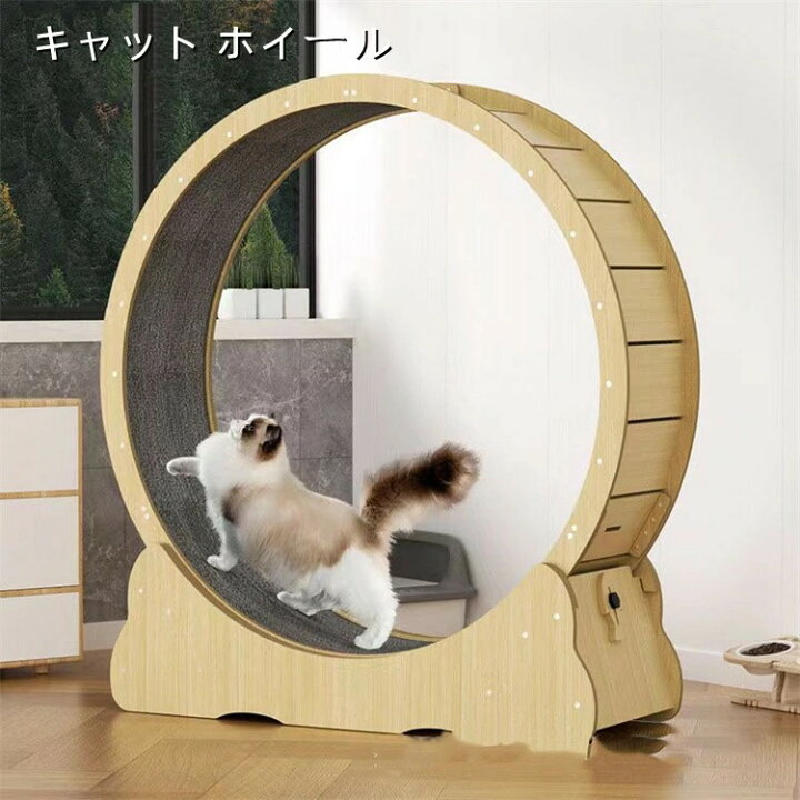 楽天市場】キャット ホイール 猫 ランニングホイール キャットウォーク 